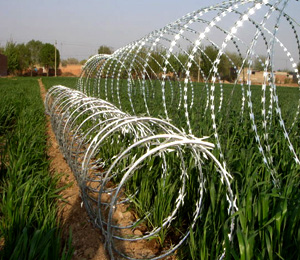 Spiral razor wire