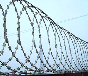 Tile Razor Wire