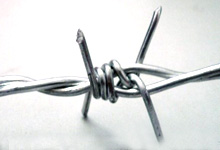 stainless steel barbed wire